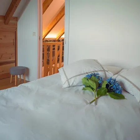 Bed & Breakfast Palheiros Do Serrado By Real Vision